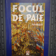 FOCUL DE PAIE- DUMITRU POPESCU (CU DEDICATIA SI AUTOGRAFUL AUTORULUI)