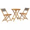 Set mobilier bistro, 3 piese, gri, polipropilena si lemn masiv