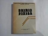 CHIMIE FIZICA - S. Sternberg / O. Landauer / C. Mateescu / D. Geana / T. Visan
