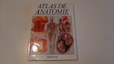 Atlas de anatomie - Trevor Weston foto