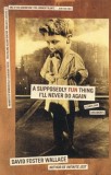 A Supposedly Fun Thing I&#039;ll Never Do Again: Essays and Arguments