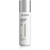 SKINSOO LuminaCell Exosome Toner tonic facial iluminator 200 ml