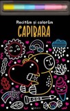 Capibara. Recitam si coloram, Kreativ