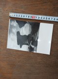 Cumpara ieftin FOTOGRAFIE VASILE SENCU - MUNTII BUCEGI, BABELE , CCA 1968