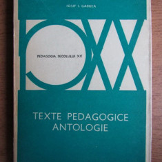 Iosif I. Gabrea - Texte pedagogice. Antologie