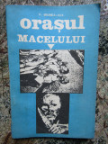 F. Brunea - Fox - Orasul macelului