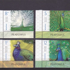 PASARI PAUNI SERIE CU TABS IN LIMBA ENGLEZA,2019 MNH ** ROMANIA.