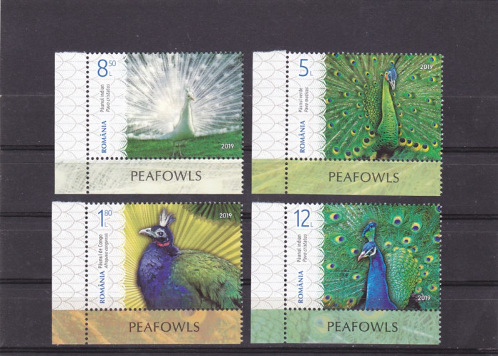 PASARI PAUNI SERIE CU TABS IN LIMBA ENGLEZA,2019 MNH ** ROMANIA.