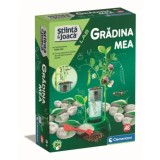 GRADINA MEA STIINTA JOACA