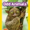 National Geographic Readers: Odd Animals (Pre-Reader)