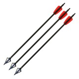 Set sageti carbon X-BOW Cobra System 15 inch + varfuri vanatoare