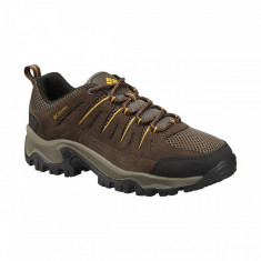 Pantofi Barba?i Outdoor Piele Columbia Lakeview II Low foto