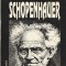 TH. RUYSSEN - SCHOPENHAUER