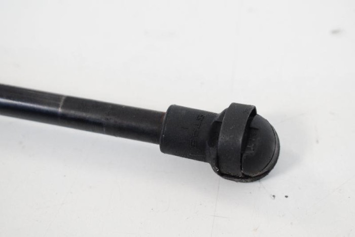 Amortizor haion st&acirc;nga BMW 1 F20 2016 OEM: 7239871 3892327