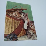 Cumpara ieftin CARTE POSTALA FELICITARE CIRCULATA