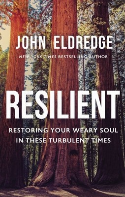 Resilient: Restoring Your Weary Soul in These Turbulent Times foto