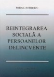 Reintegrarea sociala a persoanelor delincvente