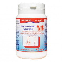 Zinc vitamina c magneziu 40cps favisan