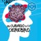 Un Clavado a Tu Cerebro / Take a Dive Into Your Brain