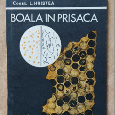 Boala In Prisaca - Constantin Hristea , Stare Foarte Buna !