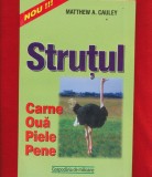 Matthew A. Cauley, &quot;Strutul. Carne, oua, piele, pene&quot; - 2001