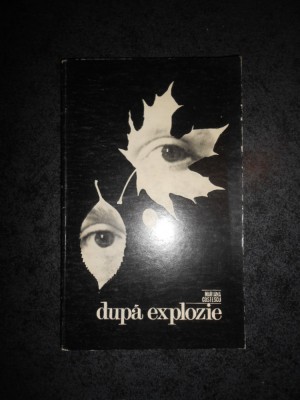 MARIANA COSTESCU - DUPA EXPLOZIE (1969) foto