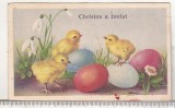 bnk cp Felicitare de Paste - circulata 1956