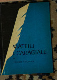 Teodor Virgolici - Mateiu I. Caragiale