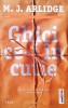M.J. Arlidge - Ghici ce-i in cutie