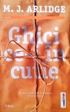 M.J. Arlidge - Ghici ce-i in cutie