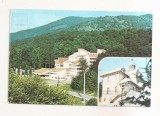 RF91 - Carte Postala - Moneasa, Hotel Moneasa si Vila 10 ( Rosmarin ), circulata 1988