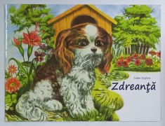 ZDREANTA de TUDOR ARGHEZI , ANII &amp;#039;2000 , CARTE ILUSTRATA PENTRU COPII foto