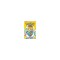 Pokemon Adventures, Vol. 26