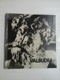 VALBUDEA - ADRIAN BOTEZ - ALBUM