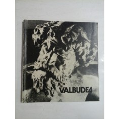 VALBUDEA - ADRIAN BOTEZ - ALBUM