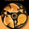 Animals in the World: Five Essays on Aristotle&#039;s Biology