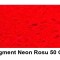 Pigment Neon WG Red 50Gr.