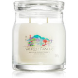 Cumpara ieftin Yankee Candle Magical Bright Lights lum&acirc;nare parfumată Signature 368 g