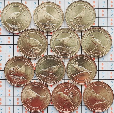 Set 12 monede Turcia 1 kurus 2021 UNC - Birds of Anatolia - bronze - A035 foto