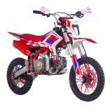 Motocicleta Enduro/Cross Asix XB28 125cc, 4T, roti 14"/12", cu far, pornire elec... Cod Produs: MX_NEW A6XB2814/121254-3