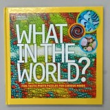 WHAT IN THE WORLD ? FUN - TASTIC PHOTO PUZZLES FOR CURIOUS MINDS by JULIE VOSBURGH AGNONE , 2014