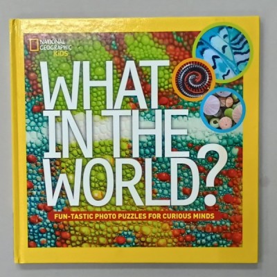 WHAT IN THE WORLD ? FUN - TASTIC PHOTO PUZZLES FOR CURIOUS MINDS by JULIE VOSBURGH AGNONE , 2014 foto