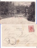 Salutari din Targu Neamt- Gradina- clasica