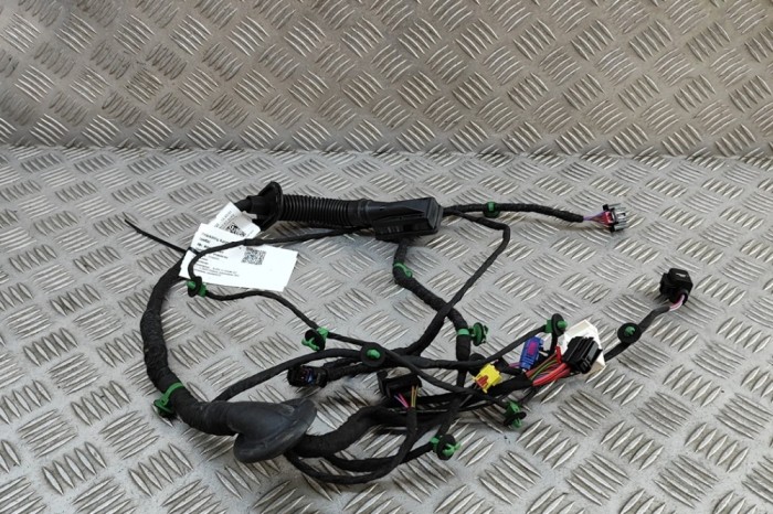 Cablaj ușă st&acirc;nga față AUDI E-TRON GT 2023 OEM: 4J3971030G 31545441