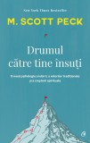 Cumpara ieftin Drumul Catre Tine Insuti Ed. Iv, M. Scott Peck - Editura Curtea Veche