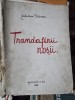 Trandafirii rosii, Zaharia Barsan