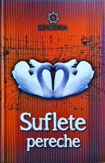 Cyndi Dale - Suflete pereche. Cum sa va deschideti spre o iubire superioara