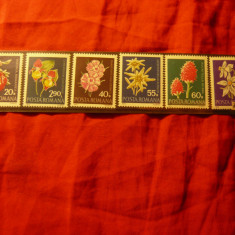 Serie Romania 1972 - Flora - Flori rare , 6 valori