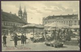 Carte Postala Timisoara Romania Veche Neutilizata 1904-1918 Banat Vedere