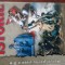 Istorie Manual clasa X A.Pandea,I.Scurtu 1999